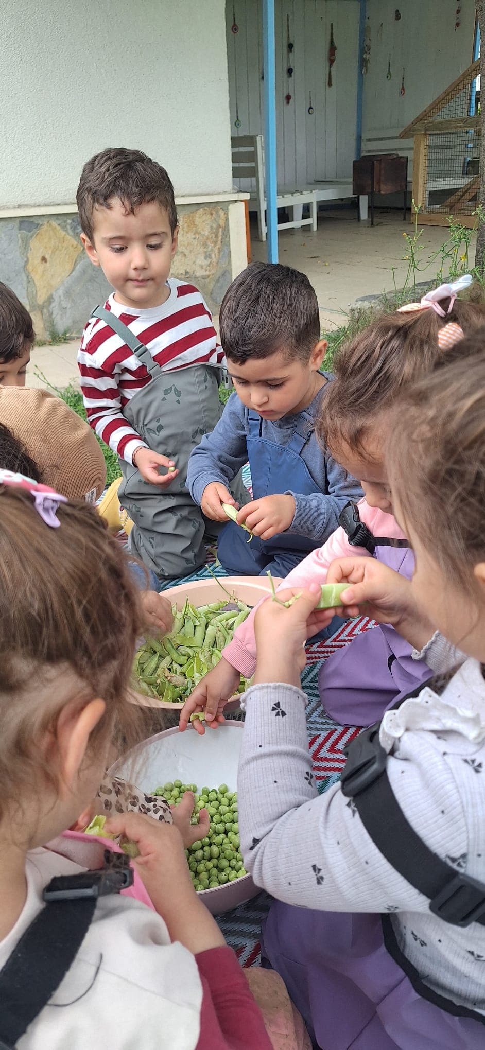 Eğlenceli aktiviteler